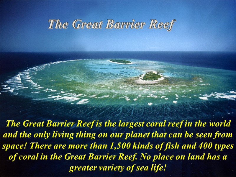 The Great Barrier Reef The Great Barrier Reef is the largest coral reef in